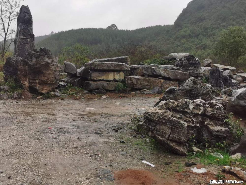 风景石、假山石大量有货，有需要的欢迎联系 - 新手上路 - 鹤岗生活社区 - 鹤岗28生活网 hegang.28life.net