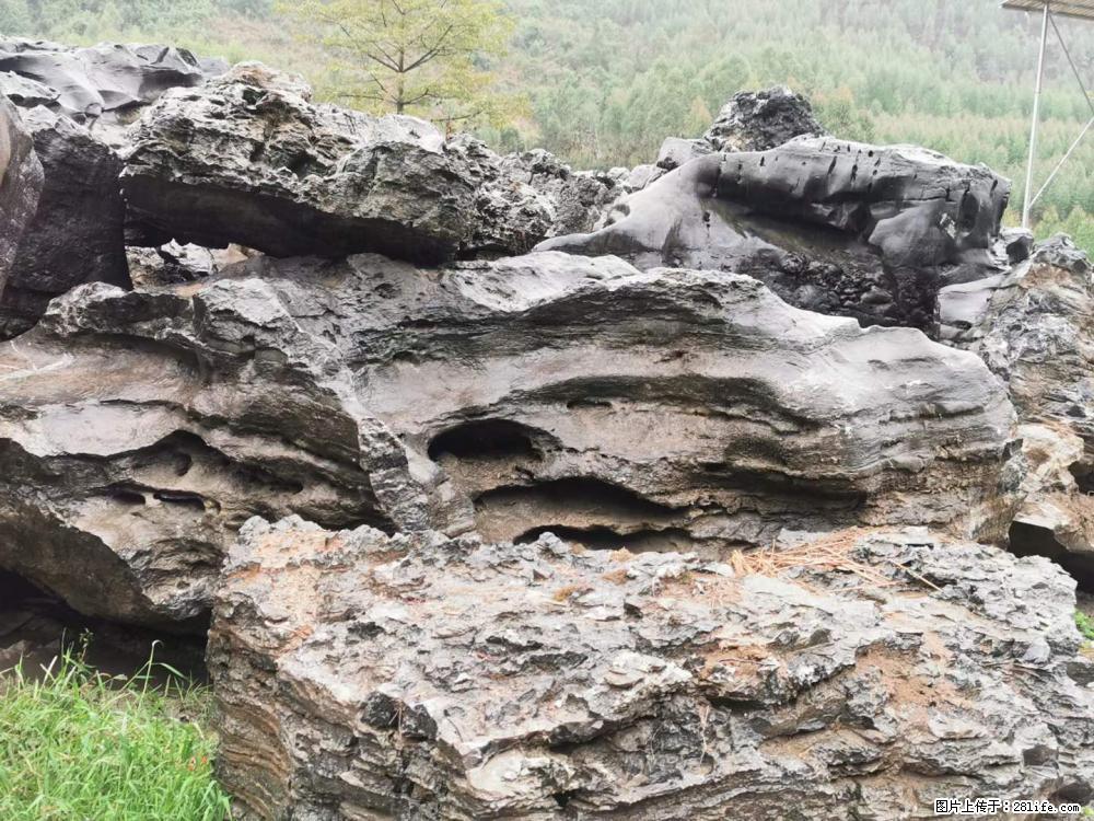 风景石、假山石大量有货，有需要的欢迎联系 - 新手上路 - 鹤岗生活社区 - 鹤岗28生活网 hegang.28life.net