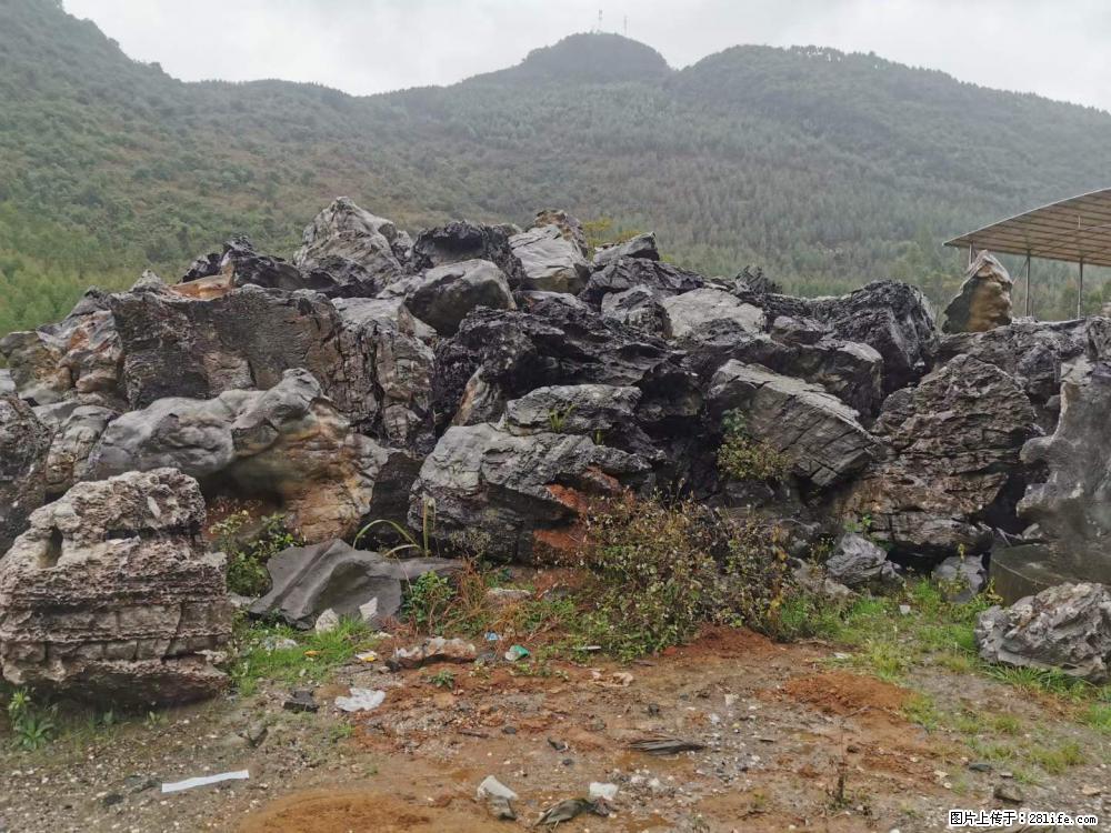 风景石、假山石大量有货，有需要的欢迎联系 - 新手上路 - 鹤岗生活社区 - 鹤岗28生活网 hegang.28life.net