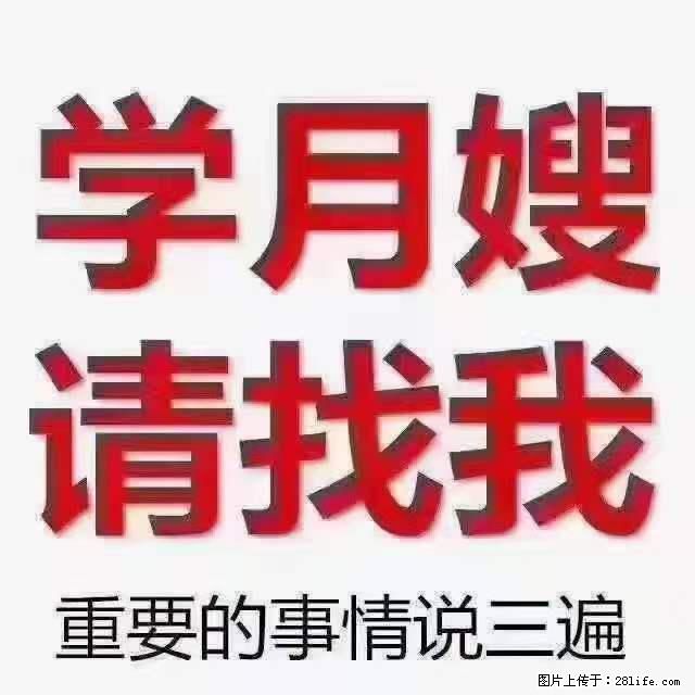 为什么要学习月嫂，育婴师？ - 新手上路 - 鹤岗生活社区 - 鹤岗28生活网 hegang.28life.net