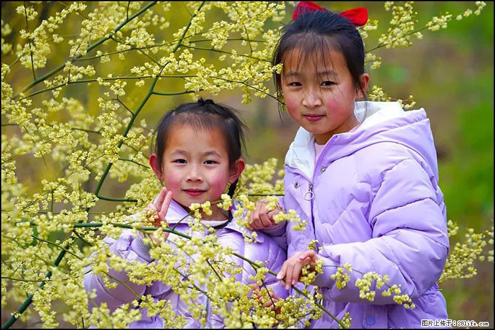 【春天，广西桂林灌阳县向您发出邀请！】米珠山前有片山苍子花在飘香 - 游山玩水 - 鹤岗生活社区 - 鹤岗28生活网 hegang.28life.net