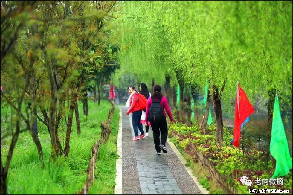 【春天，广西桂林灌阳县向您发出邀请！】江口老街又逢春 - 游山玩水 - 鹤岗生活社区 - 鹤岗28生活网 hegang.28life.net