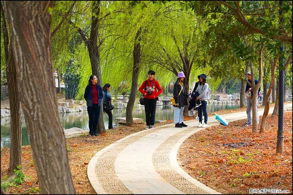 【春天，广西桂林灌阳县向您发出邀请！】江口老街又逢春 - 游山玩水 - 鹤岗生活社区 - 鹤岗28生活网 hegang.28life.net