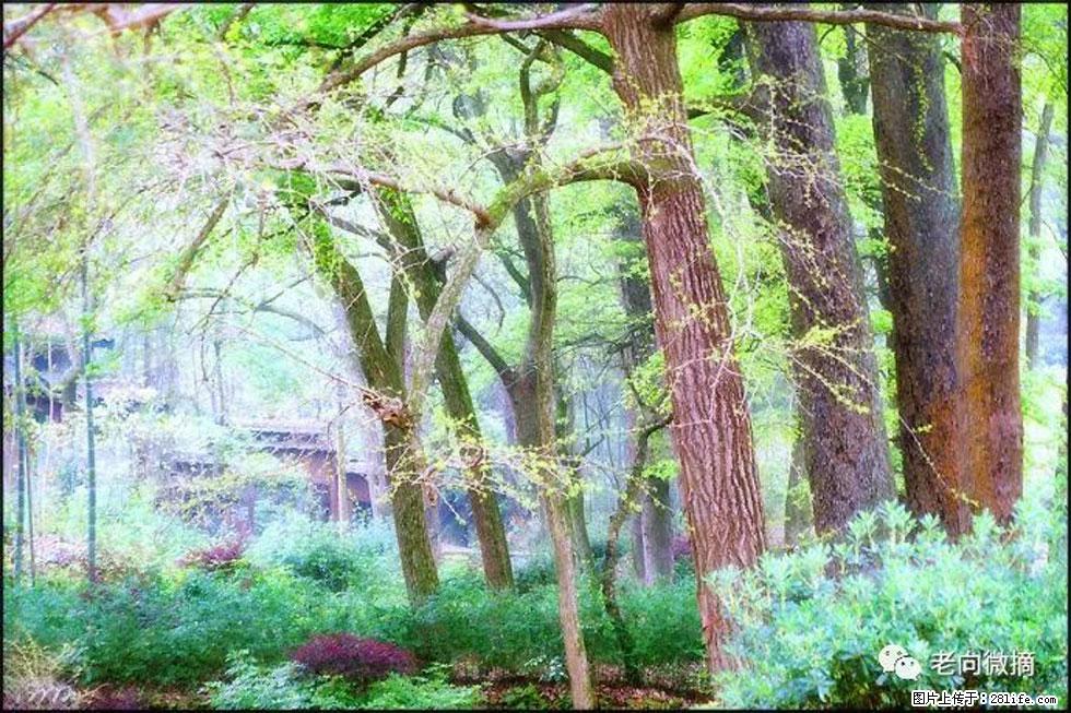 【春天，广西桂林灌阳县向您发出邀请！】在小龙村与春天约会 - 游山玩水 - 鹤岗生活社区 - 鹤岗28生活网 hegang.28life.net