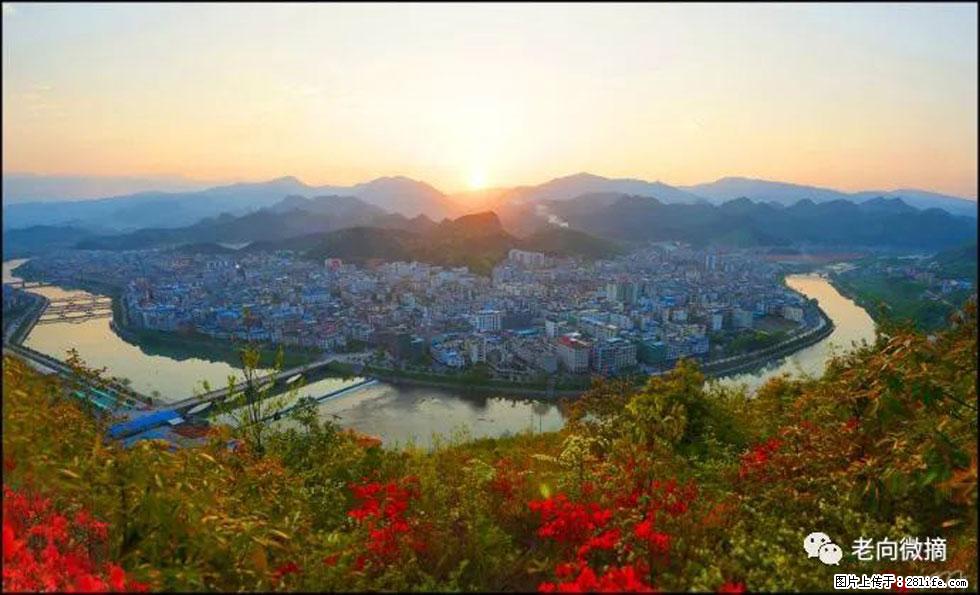 【春天，广西桂林灌阳县向您发出邀请！】登麒麟山，相约映山红 - 游山玩水 - 鹤岗生活社区 - 鹤岗28生活网 hegang.28life.net