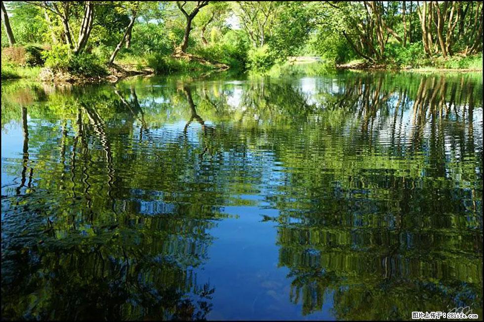 【春天，广西桂林灌阳县向您发出邀请！】熊家寨湿地公园 - 游山玩水 - 鹤岗生活社区 - 鹤岗28生活网 hegang.28life.net