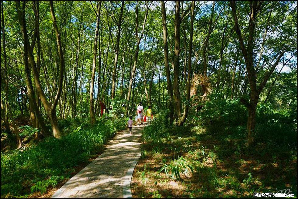 【春天，广西桂林灌阳县向您发出邀请！】熊家寨湿地公园 - 游山玩水 - 鹤岗生活社区 - 鹤岗28生活网 hegang.28life.net