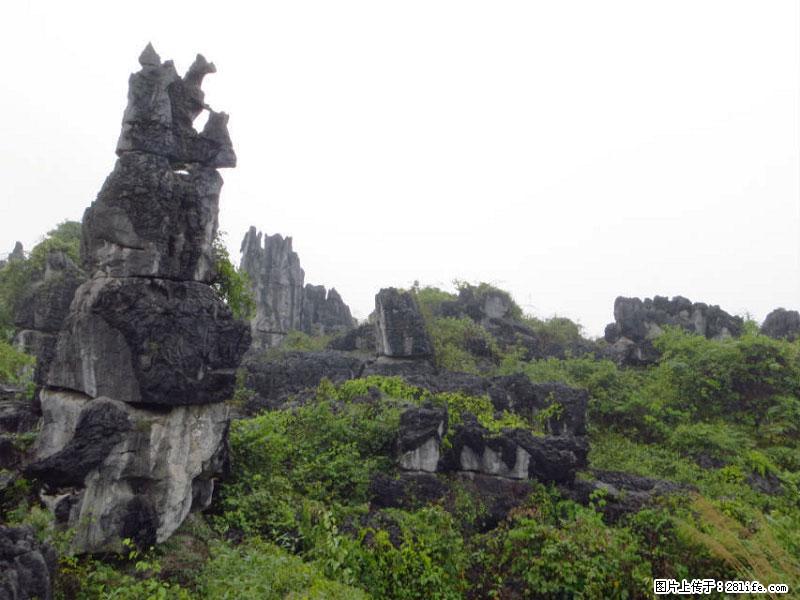 桂林旅游名城景点：灌阳文市石林 - 游山玩水 - 鹤岗生活社区 - 鹤岗28生活网 hegang.28life.net