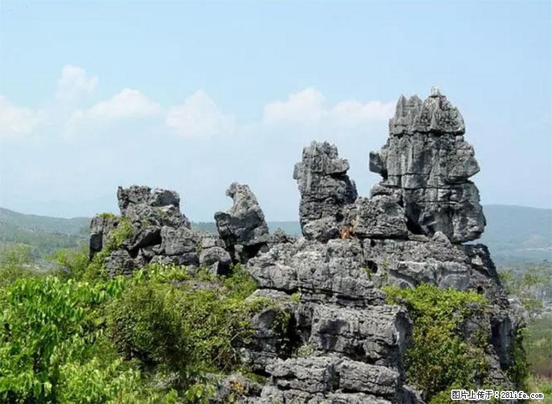 桂林旅游名城景点：灌阳文市石林 - 游山玩水 - 鹤岗生活社区 - 鹤岗28生活网 hegang.28life.net