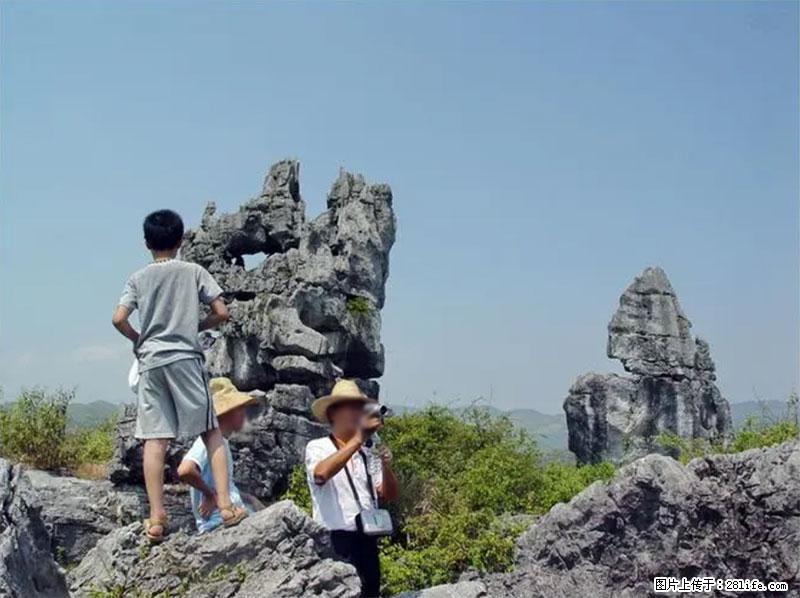 桂林旅游名城景点：灌阳文市石林 - 游山玩水 - 鹤岗生活社区 - 鹤岗28生活网 hegang.28life.net