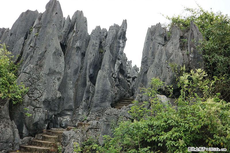 桂林旅游名城景点：灌阳文市石林 - 游山玩水 - 鹤岗生活社区 - 鹤岗28生活网 hegang.28life.net