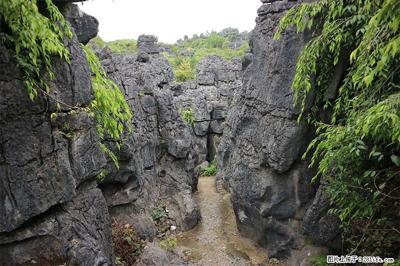 桂林旅游名城景点：灌阳文市石林 - 游山玩水 - 鹤岗生活社区 - 鹤岗28生活网 hegang.28life.net