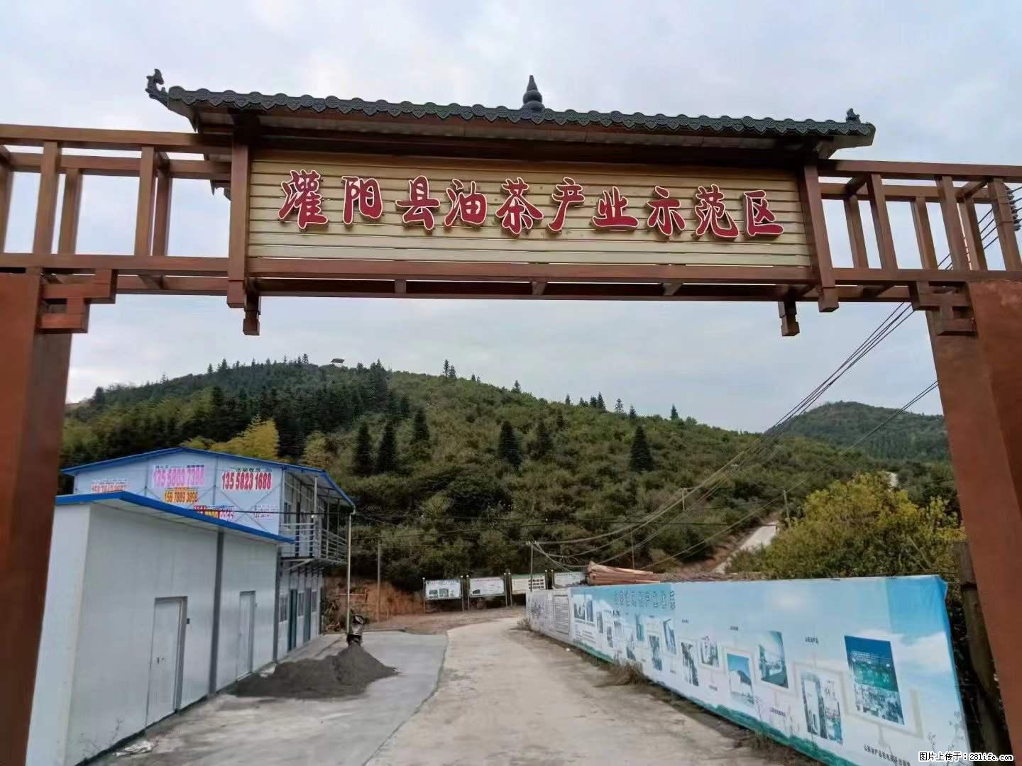 【灌阳县油茶产业示范区】一个有着充实的精神生活的人，对待身外之物自会有一种淡泊的态度 - 美食天地 - 鹤岗生活社区 - 鹤岗28生活网 hegang.28life.net