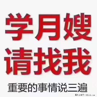 为什么要学习月嫂，育婴师？ - 鹤岗28生活网 hegang.28life.net