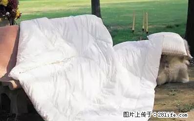 被子有异味？只要这样做，比晒太阳还强100倍！ - 家居生活 - 鹤岗生活社区 - 鹤岗28生活网 hegang.28life.net