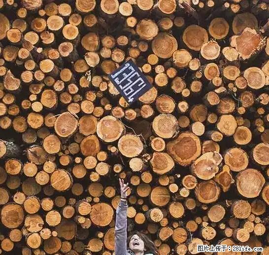 辞掉工作周游世界？现在他们在洗厕所…… - 游山玩水 - 鹤岗生活社区 - 鹤岗28生活网 hegang.28life.net