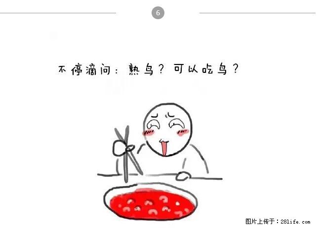 千万不要和这9种哈卵一起吃火锅！ - 美食天地 - 鹤岗生活社区 - 鹤岗28生活网 hegang.28life.net