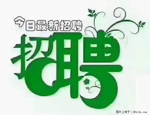 【招聘】产康师 - 职场交流 - 鹤岗生活社区 - 鹤岗28生活网 hegang.28life.net