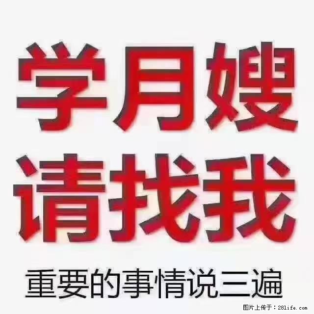 【招聘】月嫂，上海徐汇区 - 职场交流 - 鹤岗生活社区 - 鹤岗28生活网 hegang.28life.net