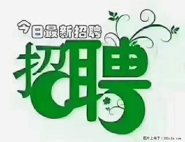 上海青浦区招仓管 - 职场交流 - 鹤岗生活社区 - 鹤岗28生活网 hegang.28life.net
