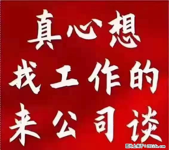 【上海】国企，医院招两名男保安，55岁以下，身高1.7米以上，无犯罪记录不良嗜好 - 职场交流 - 鹤岗生活社区 - 鹤岗28生活网 hegang.28life.net