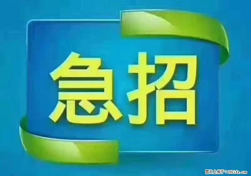 招出纳8000元/月，无证可以，要有相关经验，上海五险一金，包住，包工作餐，做六休一。 - 职场交流 - 鹤岗生活社区 - 鹤岗28生活网 hegang.28life.net