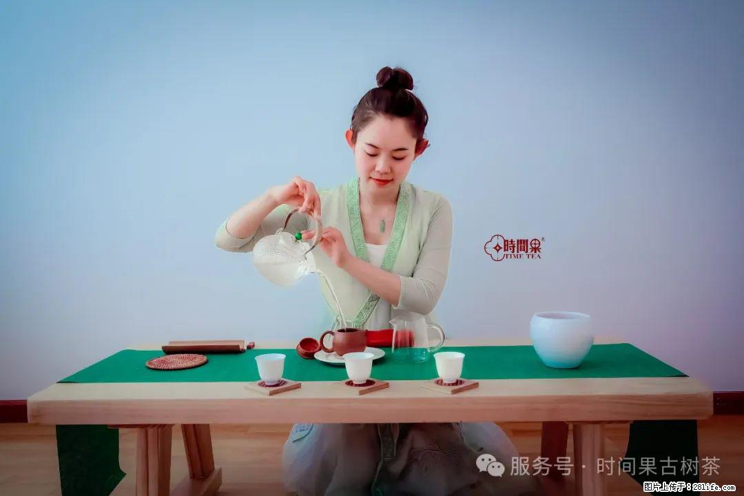 时间果百年古树龙珠普洱生茶 - 购物交流 - 鹤岗生活社区 - 鹤岗28生活网 hegang.28life.net