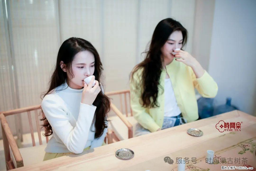 时间果百年古树龙珠普洱生茶 - 购物交流 - 鹤岗生活社区 - 鹤岗28生活网 hegang.28life.net