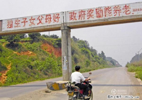 全面两孩政策计划明年元旦起实施 夫妻可延长生育假 - 鹤岗生活资讯 - 鹤岗28生活网 hegang.28life.net