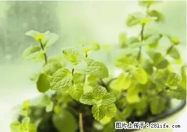 晕车、脚气、牙齿变黄、皮肤粗糙？学会这些三分钟搞定！ - 鹤岗生活资讯 - 鹤岗28生活网 hegang.28life.net