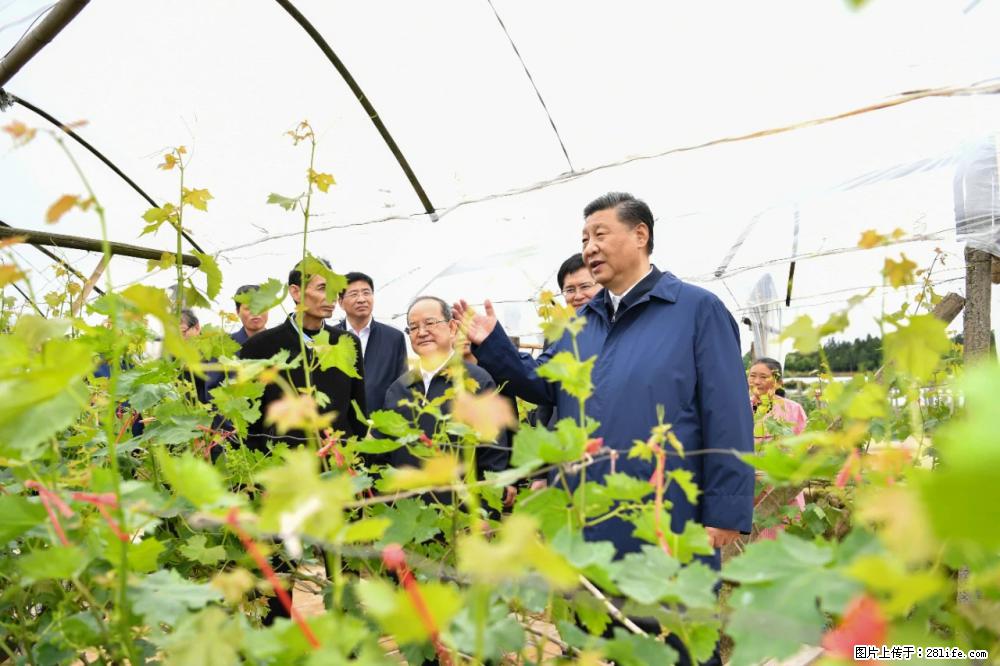 习近平赴广西考察调研 - 鹤岗生活资讯 - 鹤岗28生活网 hegang.28life.net