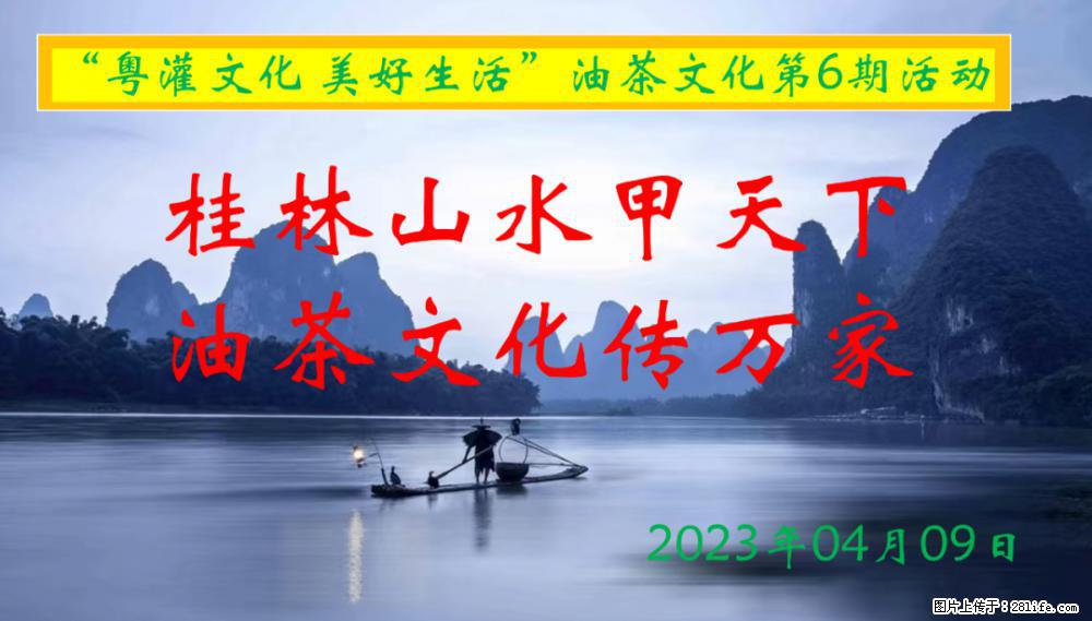 “粤灌文化 美好生活”油茶文化主题活动在广东深圳成功举办 - 鹤岗生活资讯 - 鹤岗28生活网 hegang.28life.net