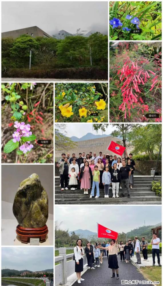 “粤灌文化 美好生活”油茶文化主题活动在广东深圳成功举办 - 鹤岗生活资讯 - 鹤岗28生活网 hegang.28life.net