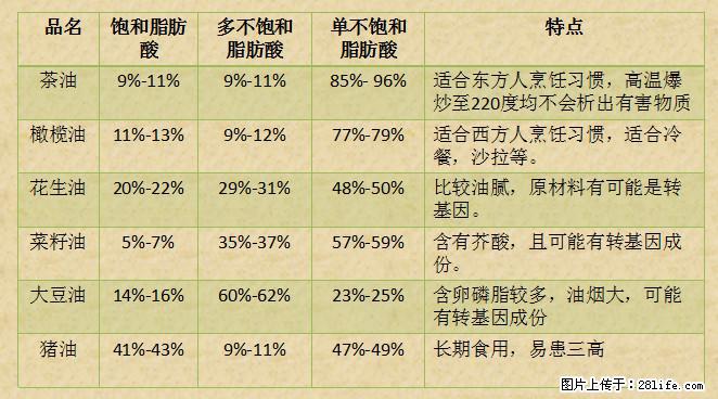 揭秘茶油的5大核心营养成分!被称为人体健康的“守护盾”! - 鹤岗生活资讯 - 鹤岗28生活网 hegang.28life.net