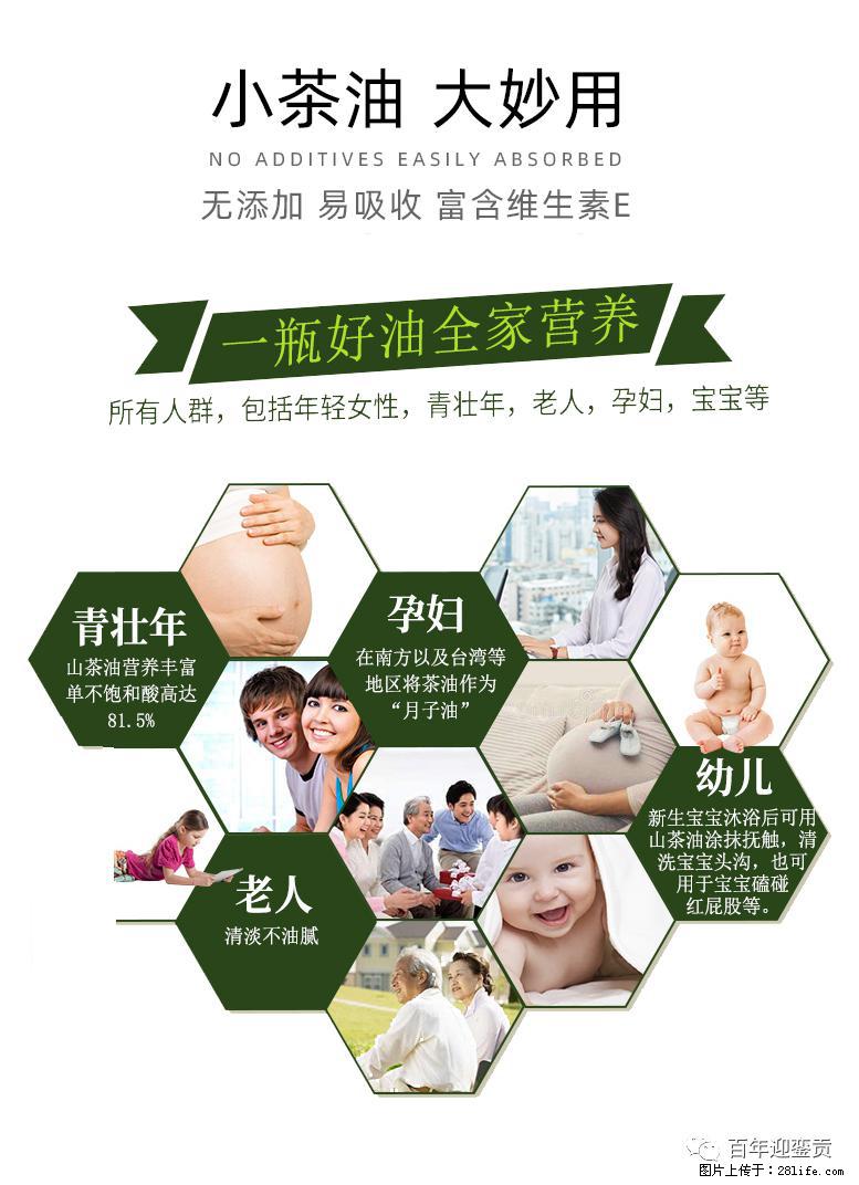 世界没有真相，只有认知，最好的食用油是中国的山茶油！ - 鹤岗生活资讯 - 鹤岗28生活网 hegang.28life.net