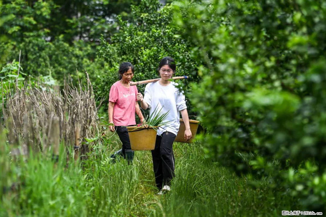 全网追的“扁担女孩”，找了一份暑假工，时薪12元 - 鹤岗生活资讯 - 鹤岗28生活网 hegang.28life.net