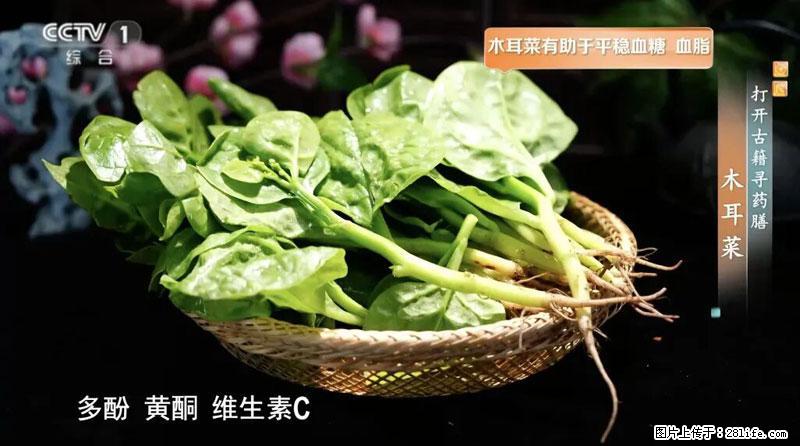 比牛奶补钙还厉害！凉血解毒、稳血糖...这菜冬天必吃，很多人却当草 - 鹤岗生活资讯 - 鹤岗28生活网 hegang.28life.net