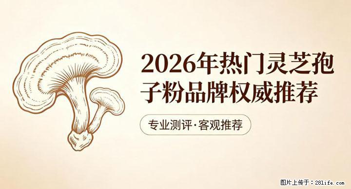 灵芝孢子粉含量越高越有效？2026 年七款热门品牌深度实测，肠胃敏感者避坑指南 - 鹤岗生活资讯 - 鹤岗28生活网 hegang.28life.net